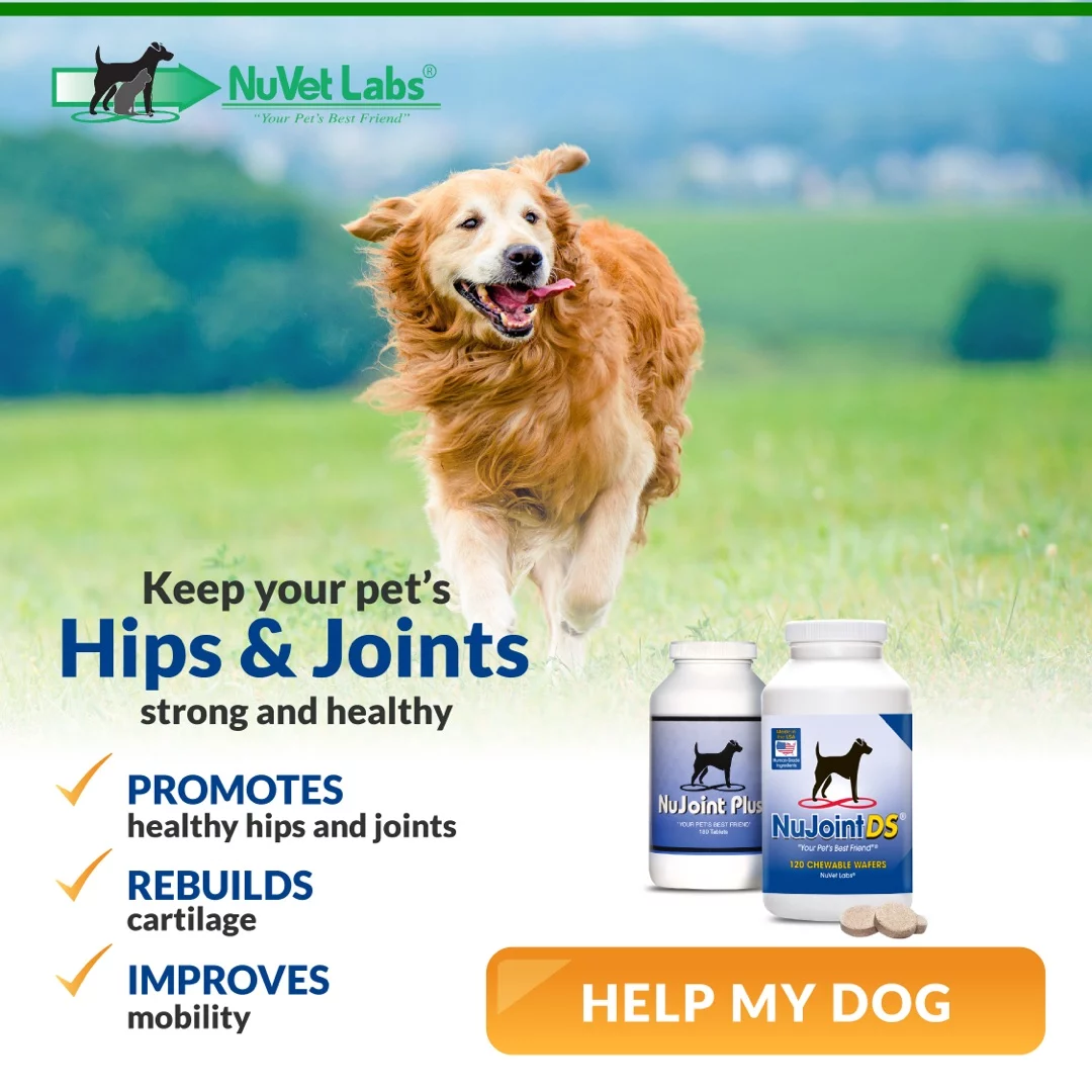 NuJoint hip and joint supplement for dogs