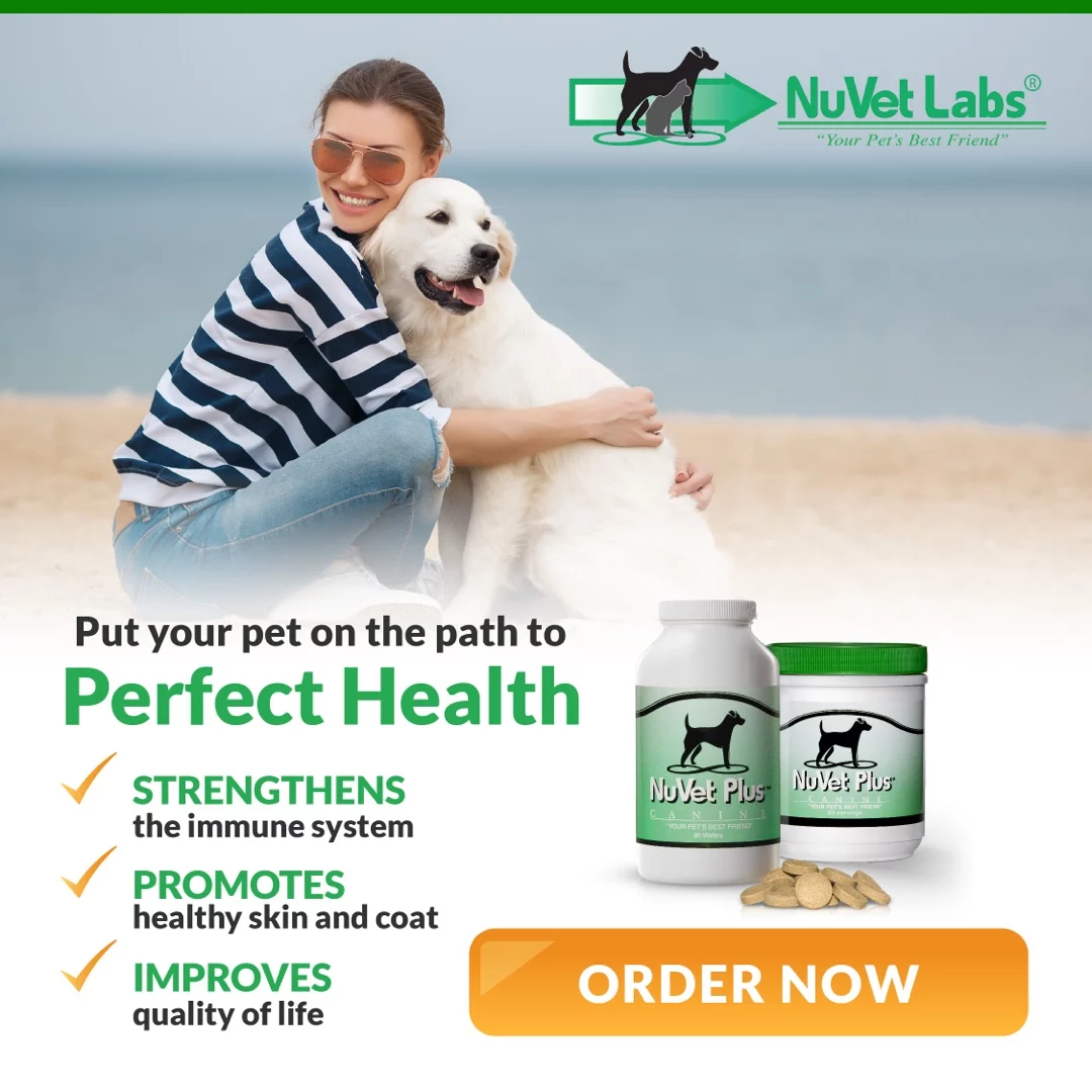 NuVet Plus dog supplement – strengthens immune system, healthy skin and coat
