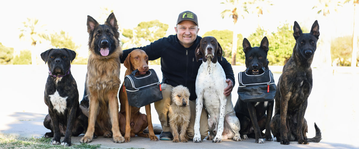 Dog Guru - off-leash dog training with Jimi Livshitz